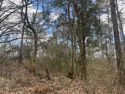 40 Acres For Sale Copiah County Crystal Springs Mississippi - image 5