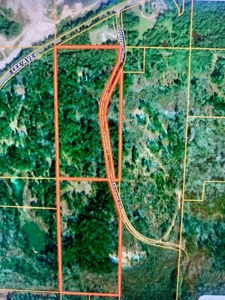 40 Acres For Sale Copiah County Crystal Springs Mississippi - image 2