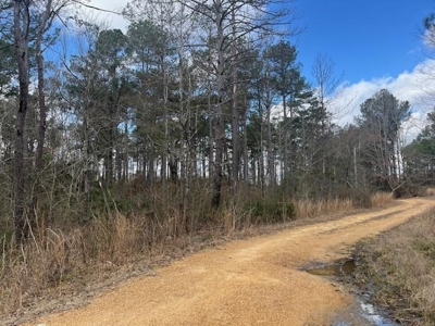 40 Acres For Sale Copiah County Crystal Springs Mississippi - image 1