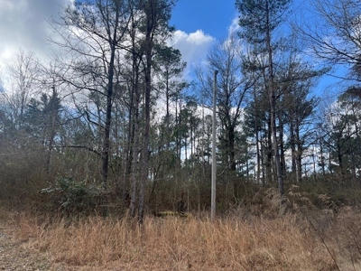 40 Acres For Sale Copiah County Crystal Springs Mississippi - image 3