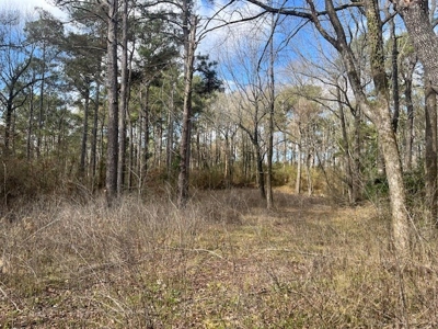 40 Acres For Sale Copiah County Crystal Springs Mississippi - image 13