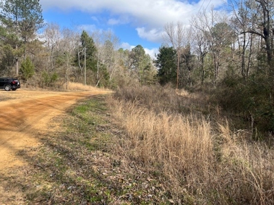 40 Acres For Sale Copiah County Crystal Springs Mississippi - image 14