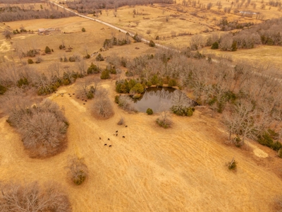 Farm | Home and 40 Acres for Sale in West Plains Missouri - image 48