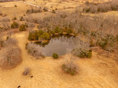 Farm | Home and 40 Acres for Sale in West Plains Missouri - image 49