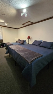 Lakefront Paradise: 4-Building Retreat Near Kerr Lake, VA - image 35