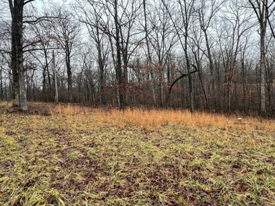 Cabin at the Lake - image 8