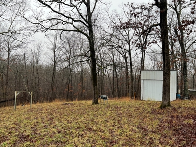Cabin at the Lake - image 7