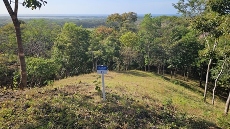 Luxury Eco-Development with Ocean-View | Lot 31 | Tonosi - image 4
