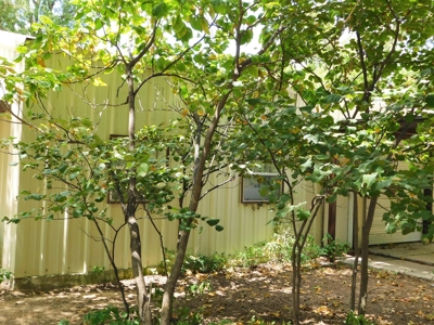 Barndominum In Risng Star With Room To Grow - image 6