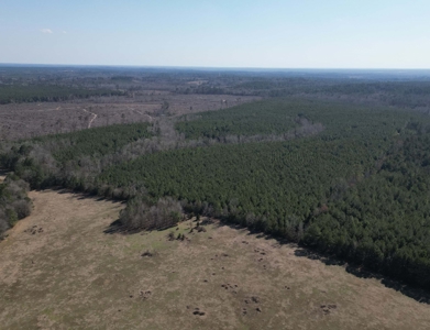 148 ± Acres of Timberland in Linden, TX - image 8