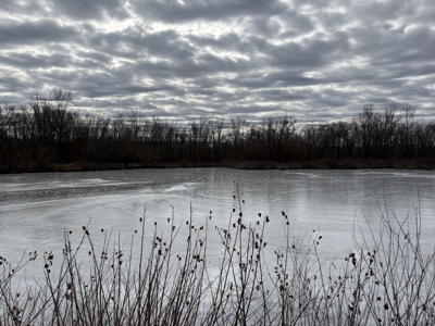 98 Acre Waterfowl Hunting Paradise-Chariton County, Missouri - image 22