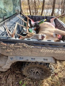 98 Acre Waterfowl Hunting Paradise-Chariton County, Missouri - image 4