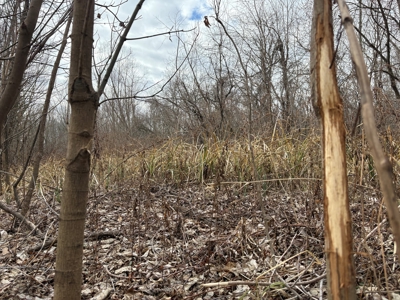 98 Acre Waterfowl Hunting Paradise-Chariton County, Missouri - image 30