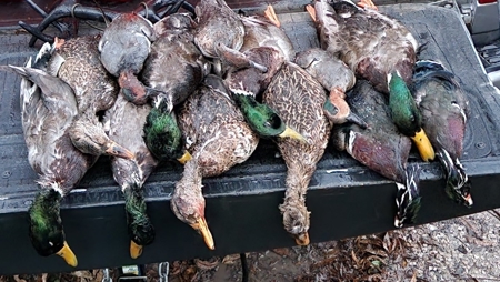 98 Acre Waterfowl Hunting Paradise-Chariton County, Missouri - image 1