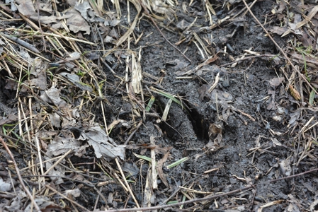 98 Acre Waterfowl Hunting Paradise-Chariton County, Missouri - image 44