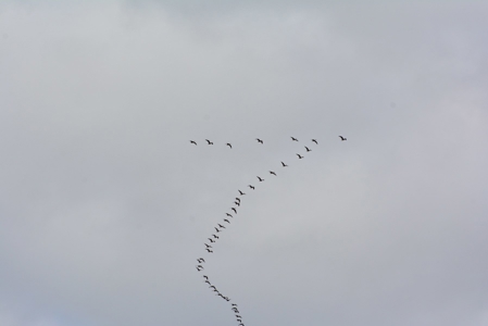 98 Acre Waterfowl Hunting Paradise-Chariton County, Missouri - image 46