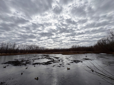 98 Acre Waterfowl Hunting Paradise-Chariton County, Missouri - image 29