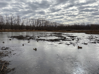 98 Acre Waterfowl Hunting Paradise-Chariton County, Missouri - image 26