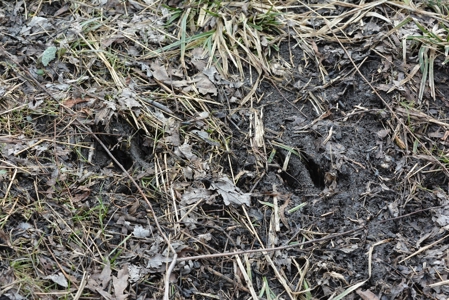 98 Acre Waterfowl Hunting Paradise-Chariton County, Missouri - image 45