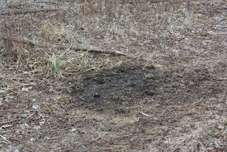 98 Acre Waterfowl Hunting Paradise-Chariton County, Missouri - image 43