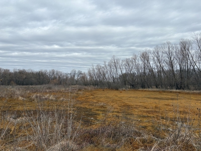 98 Acre Waterfowl Hunting Paradise-Chariton County, Missouri - image 24