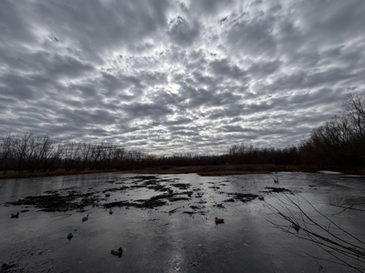 98 Acre Waterfowl Hunting Paradise-Chariton County, Missouri - image 28