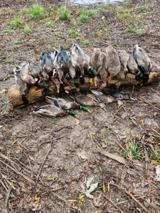 98 Acre Waterfowl Hunting Paradise-Chariton County, Missouri - image 2