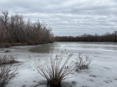 98 Acre Waterfowl Hunting Paradise-Chariton County, Missouri - image 23