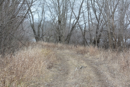 98 Acre Waterfowl Hunting Paradise-Chariton County, Missouri - image 41