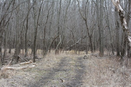 98 Acre Waterfowl Hunting Paradise-Chariton County, Missouri - image 47