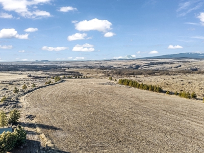 160-Acre Multi-Use Property in Goldendale Washington - image 16