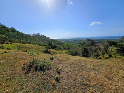 Luxury Eco-Development with Ocean-View | Lote 22 - image 4