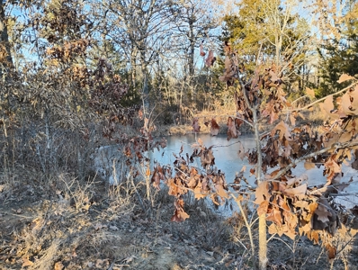 Country Home with Acreage for Sale in Salem, Missouri - image 3