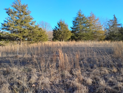 Country Home with Acreage for Sale in Salem, Missouri - image 5
