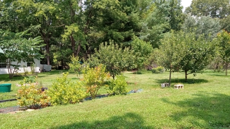 Country Home with Acreage for Sale in Salem, Missouri - image 8