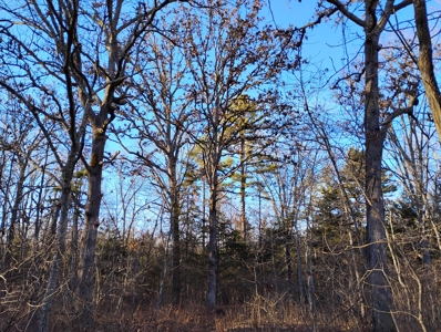 Country Home with Acreage for Sale in Salem, Missouri - image 45