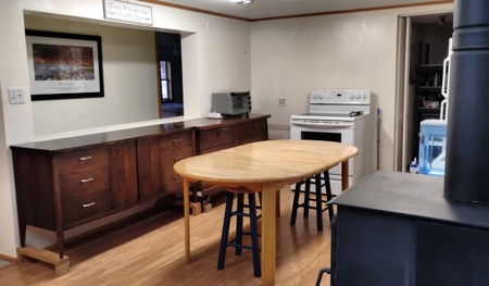 Country Home with Acreage for Sale in Salem, Missouri - image 1