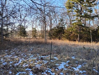 Country Home with Acreage for Sale in Salem, Missouri - image 46