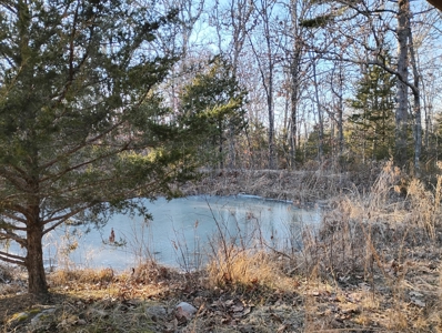 Country Home with Acreage for Sale in Salem, Missouri - image 4