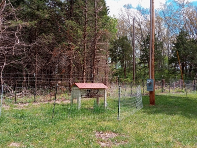 Country Home with Acreage for Sale in Salem, Missouri - image 16