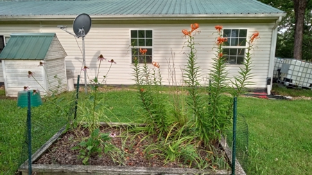 Country Home with Acreage for Sale in Salem, Missouri - image 10
