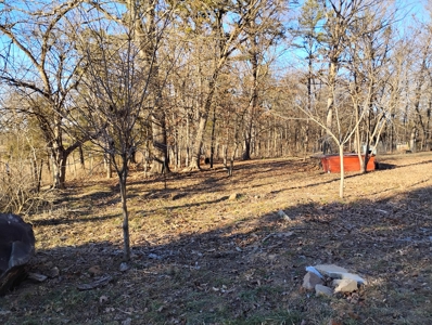 Country Home with Acreage for Sale in Salem, Missouri - image 36