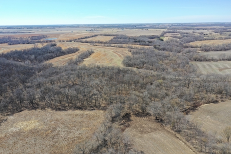 Great Hunting Farm with Solid Income – Just Southeast of Ridgeway - image 7
