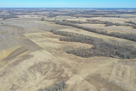 Great Hunting Farm with Solid Income – Just Southeast of Ridgeway - image 10