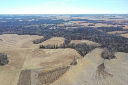 Great Hunting Farm with Solid Income – Just Southeast of Ridgeway - image 14