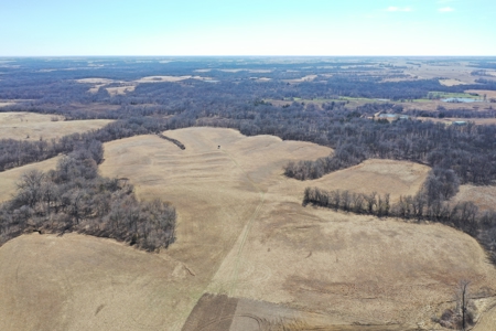 Great Hunting Farm with Solid Income – Just Southeast of Ridgeway - image 19