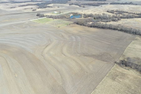 Great Hunting Farm with Solid Income – Just Southeast of Ridgeway - image 16