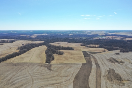 Great Hunting Farm with Solid Income – Just Southeast of Ridgeway - image 5