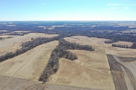 Great Hunting Farm with Solid Income – Just Southeast of Ridgeway - image 8