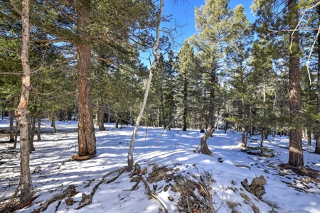 Buildable Lot in Spring Valley Subdivision - image 14